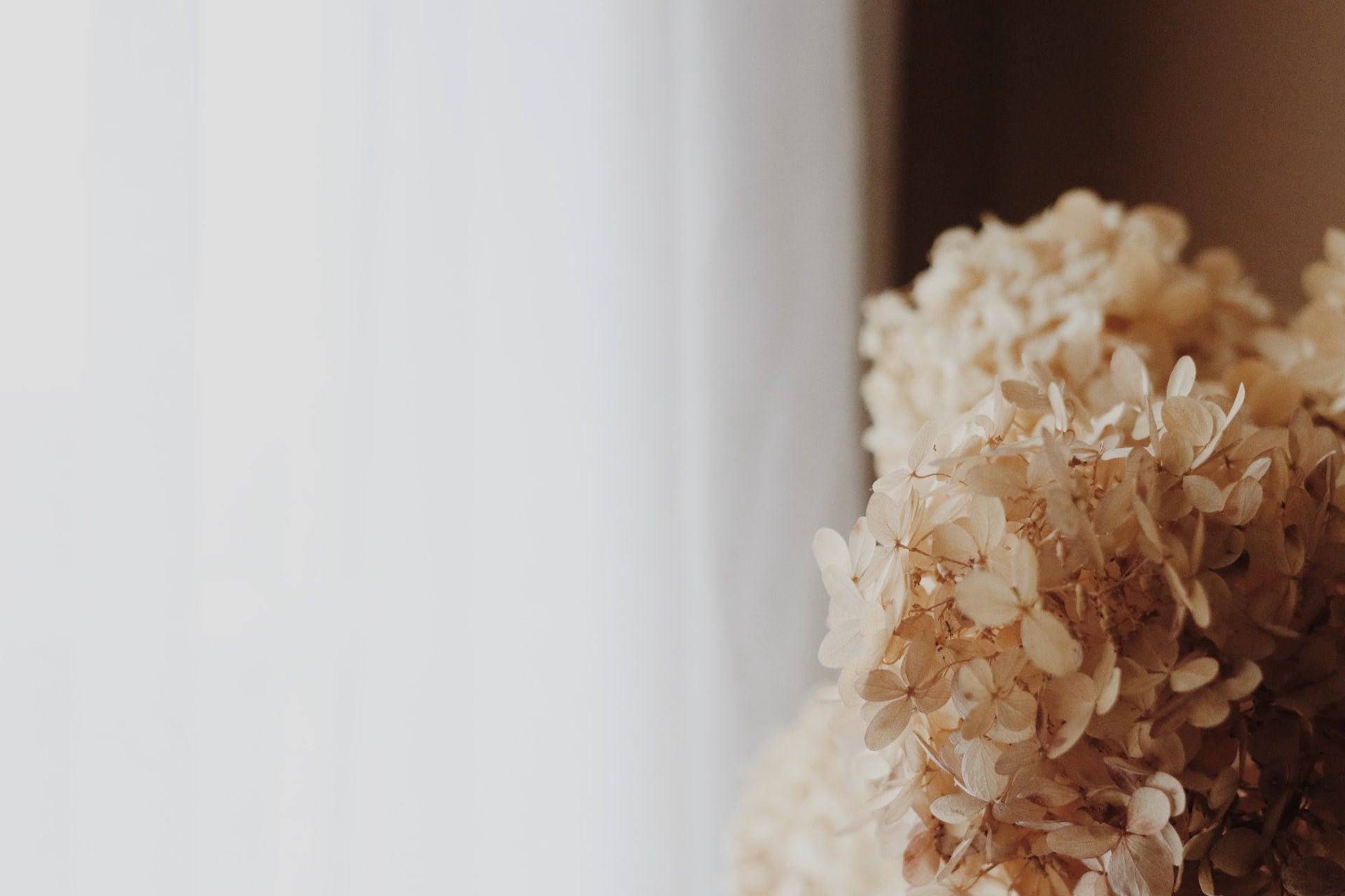 Figuren, Objekte & Kleinigkeiten