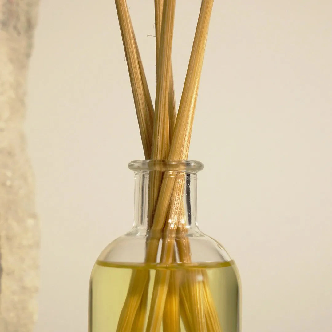 Diffuser 100ml - Cashmere