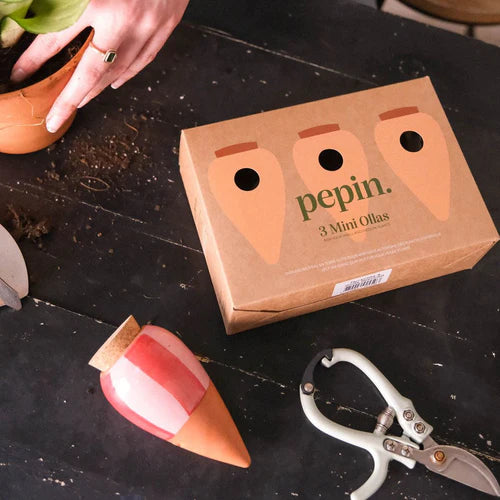 Trio Mini Ollas - Die gestreiften