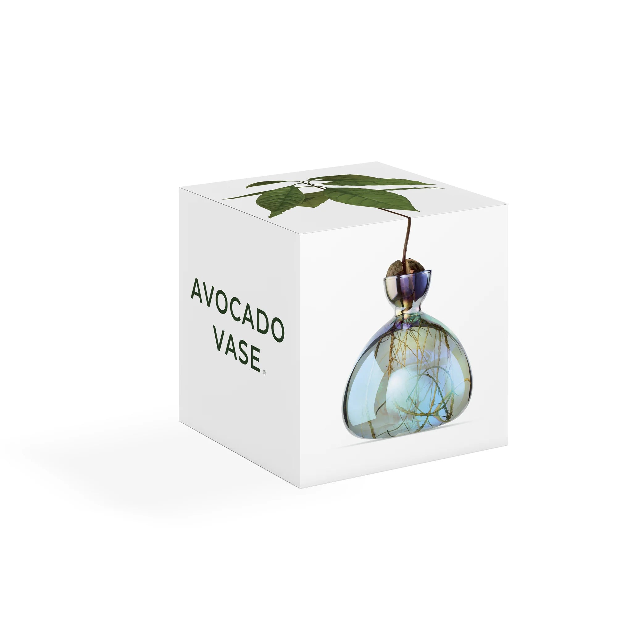 Avocado Vase