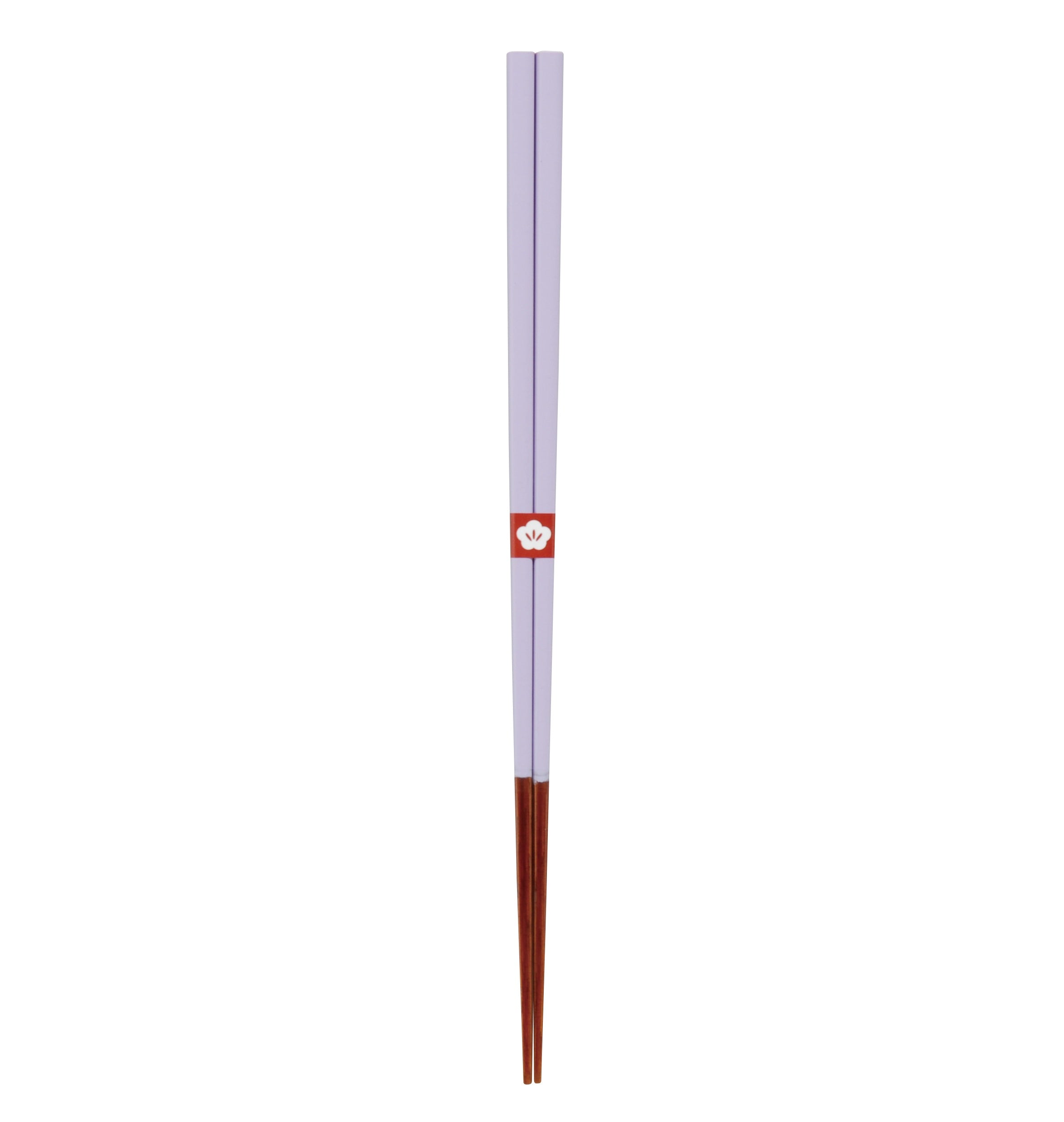 Japanische Chopsticks