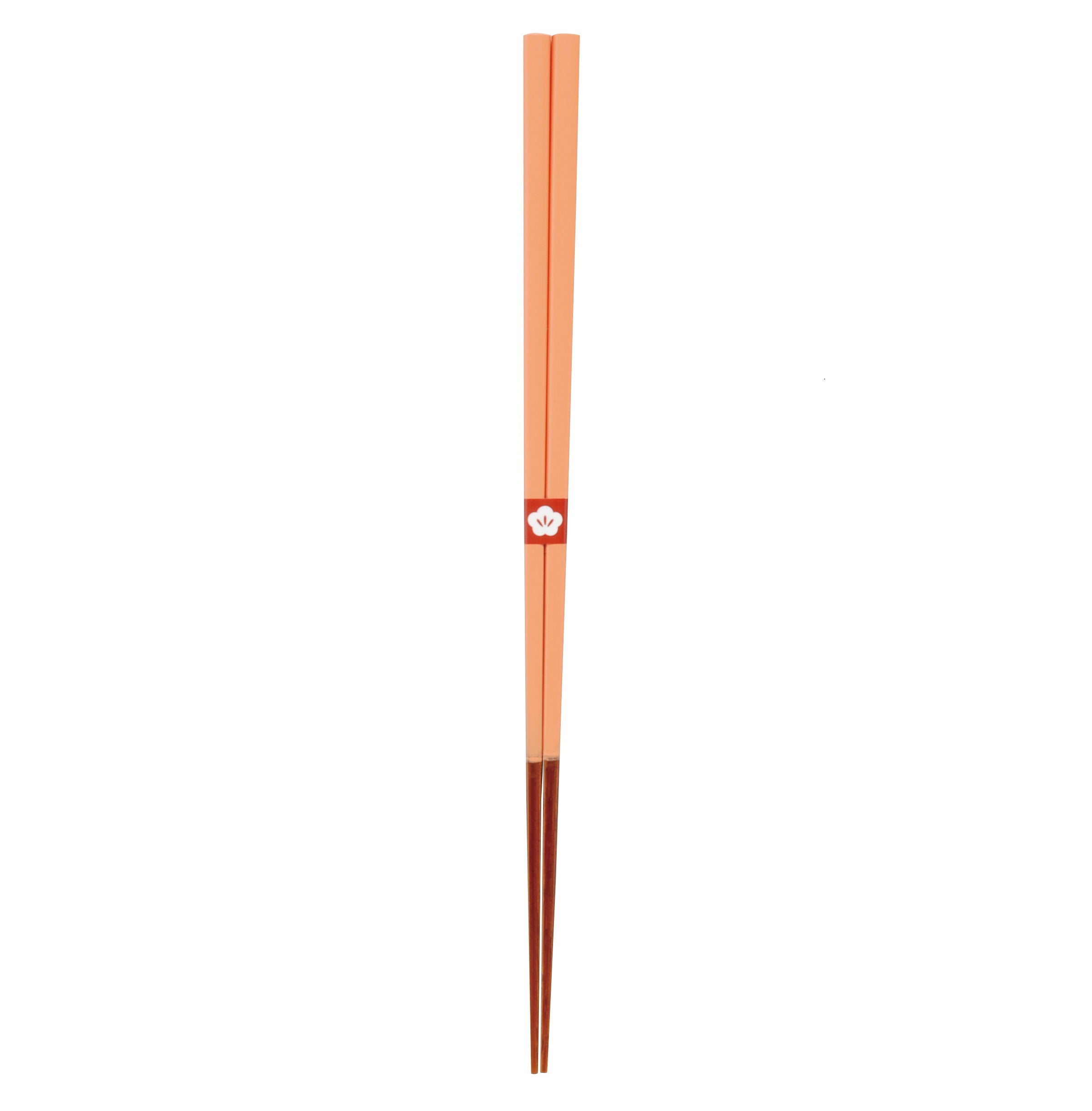 Japanische Chopsticks