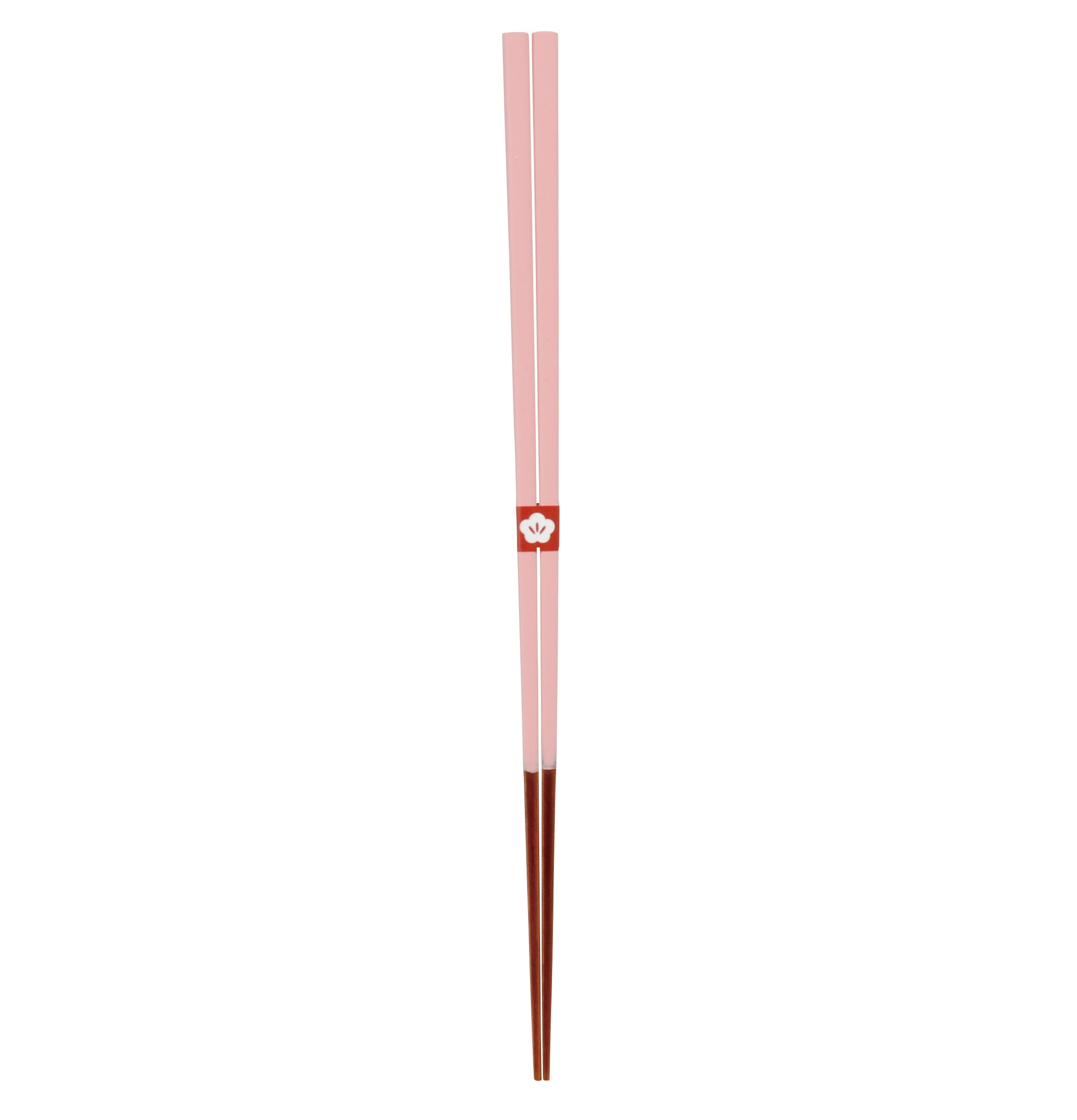 Japanische Chopsticks