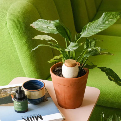 Trio Mini Ollas - Die Klassiker