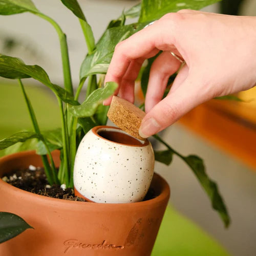 Trio Mini Ollas - Die Klassiker