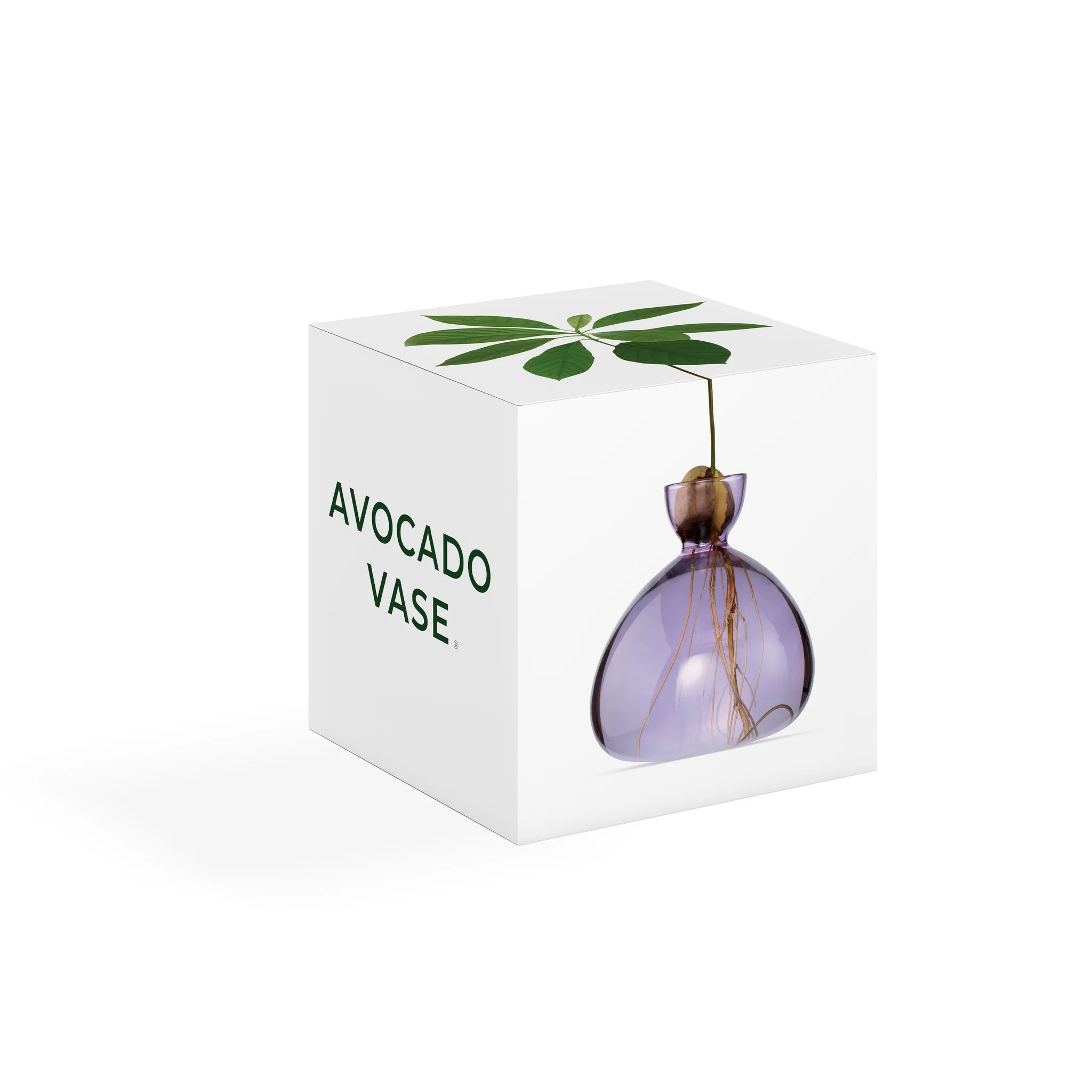 Avocado Vase