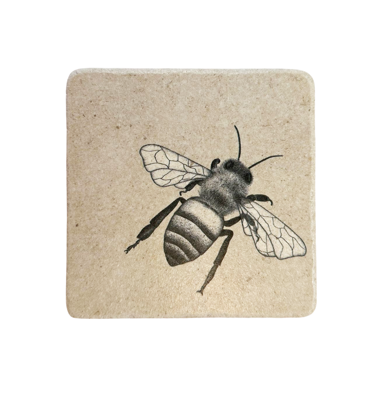 Fliese Naturstein Biene