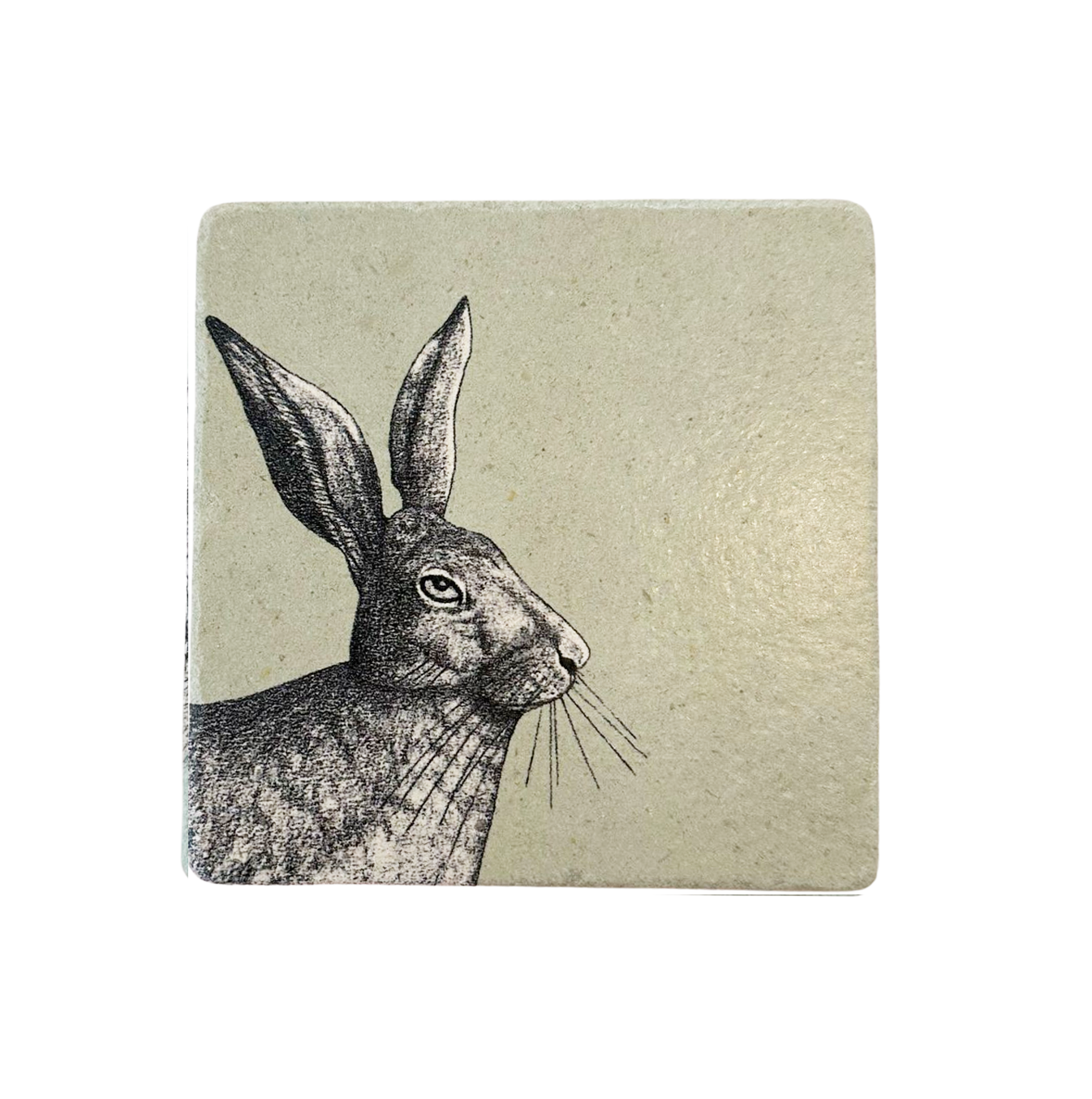 Fliese Naturstein Hase