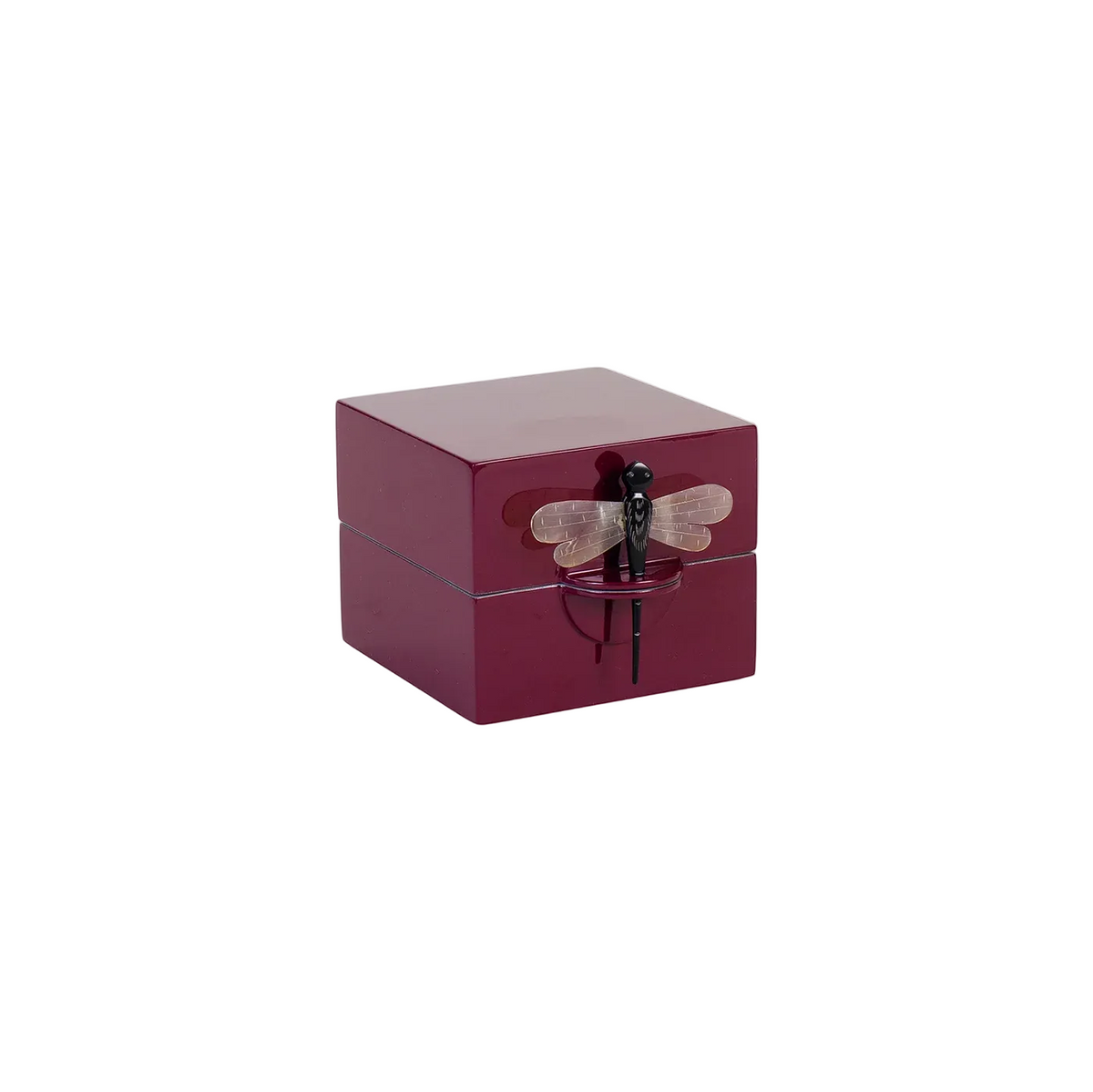 Lackbox Libelle S