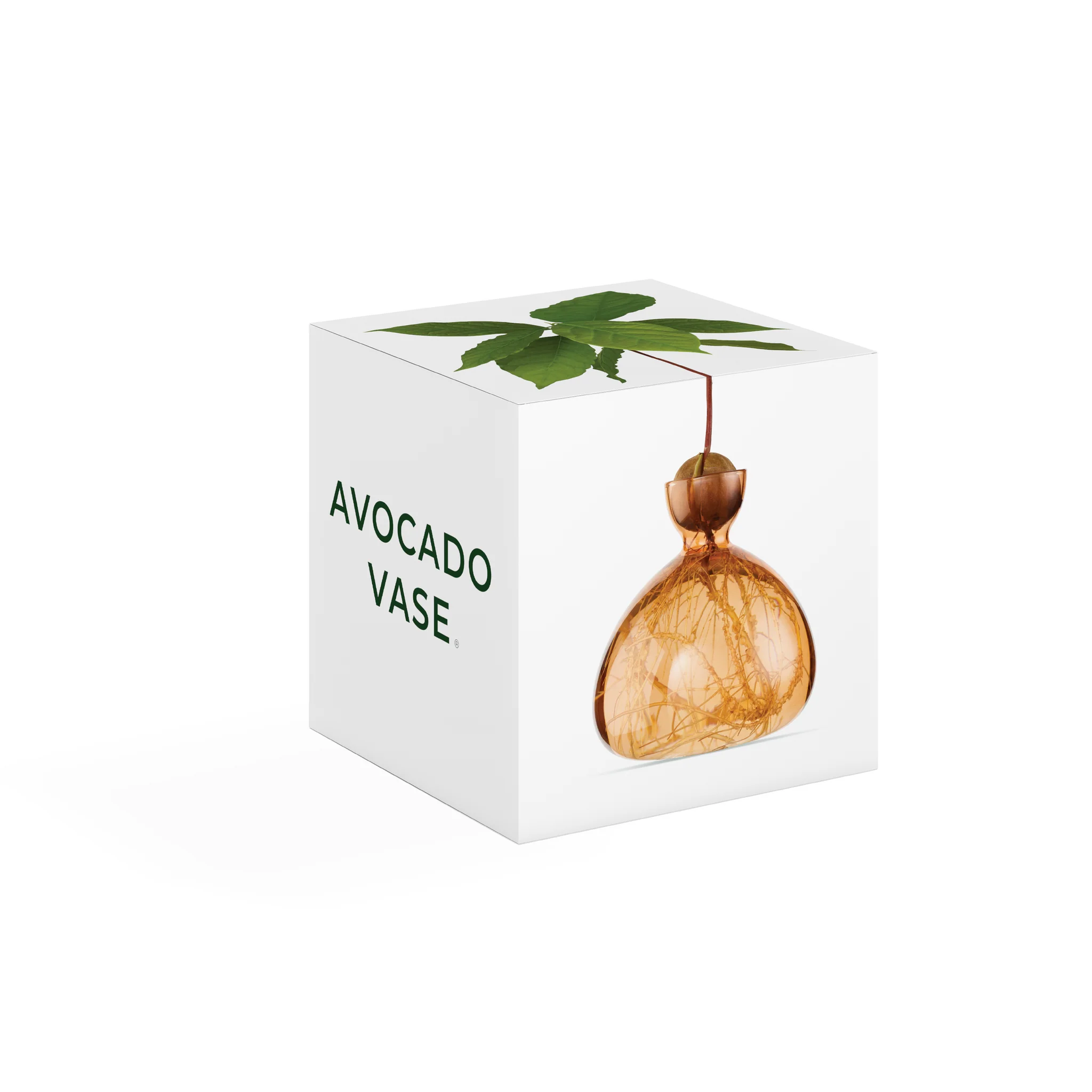 Avocado Vase