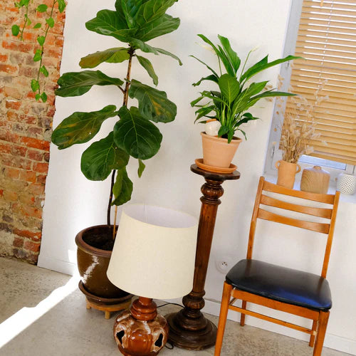 Olla - Weiss gesprenkelt