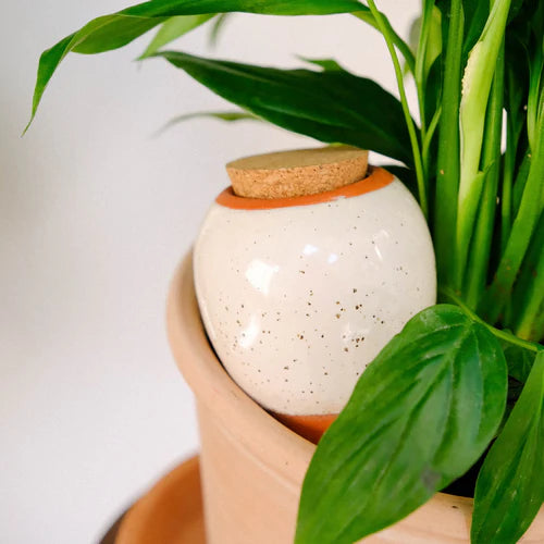Olla - Weiss gesprenkelt
