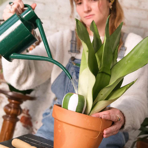 Trio Mini Ollas - Die gestreiften