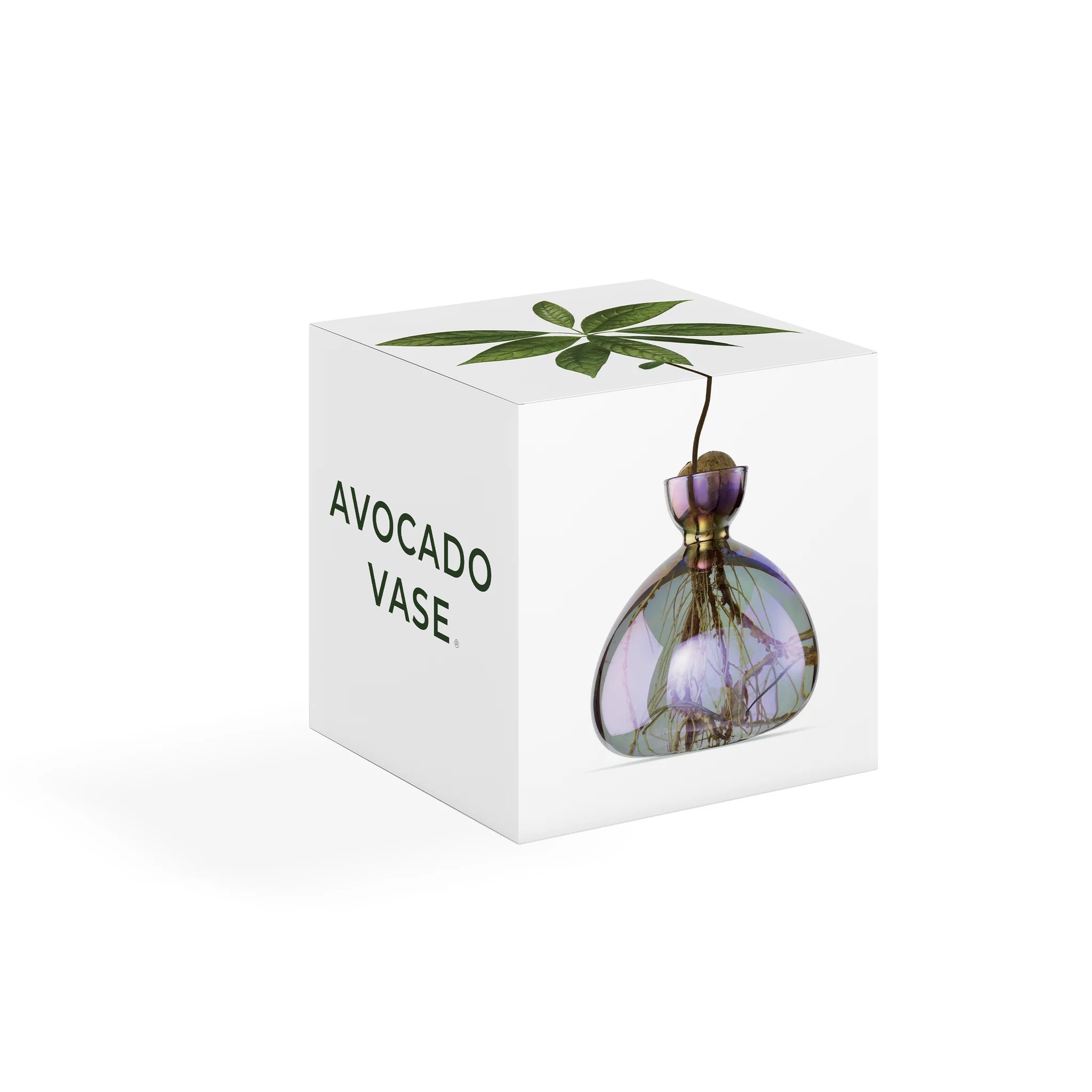 Avocado Vase