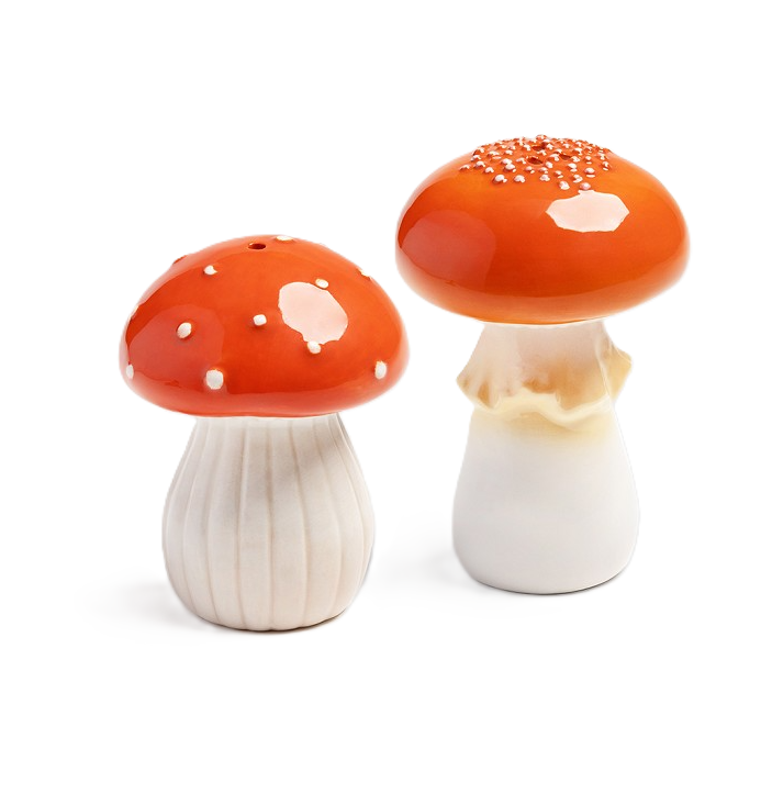 Salz- und Pfefferstreuer Mushroom